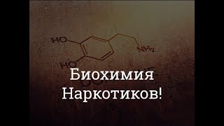 2. Биохимия Наркотиков - Или Почему сложно бросить употреблять?