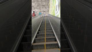 One of the Longest Metro Escalator Kolkata #shorts