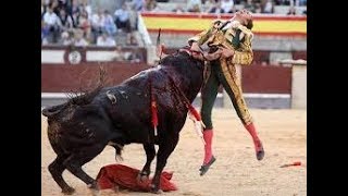 HOMBRES VS ANIMALES /LUCHA SANGRIENTA/QUIEN GANARA/