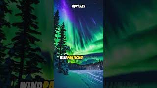 Aurora’s 🌈 #auroras #shortsvideo #interestingfacts