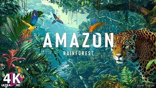 Amazon 4K - Animals That Call The Jungle Home | Amazon Rainforest | Scenic Relaxation Film