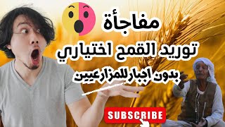 مفاجأةسارة للمزارعيين/ توريد القمح اختياري شوف الشروط في الفيديو