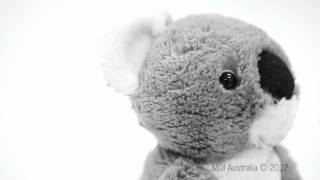 Laughing  Koala Toy