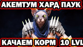 Акемтум КАЧАЙ КОРМ НА ХАРД ПАУКЕ RAID SHADOW LEGENDS