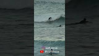 Surfer gliding on a midlength twin pin at Bondi #surfing #twinfin #twinpin #midlength #surfcircus