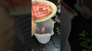 Watermelon juice with Mint 😋✨#shortsvideo#watermelomjyice#viralreels