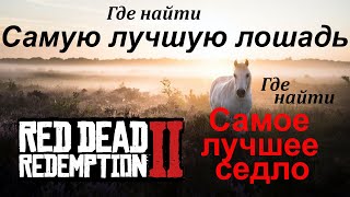 Самая Лучшая Лошадь. Самое Лучшее Седло. Red Dead Redemption 2.