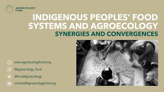 Indigenous Peoples’ Food Systems and Agroecology: Synergies and Convergences