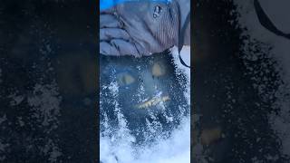 Mysterious Things Found Frozen in Ice.! #short