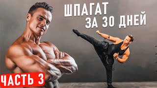 Как СЕСТЬ НА ШПАГАТ за 30 дней? Часть 3