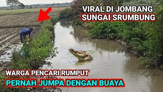 viral di jombang inilah ‼️ sungai purba yang sering nampak siluman ikan , buaya, ular,