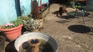 Fountain in rfy courtyard, undecorated