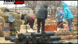 ARDUO TRABAJO EN HUERTA PROTEGIDA