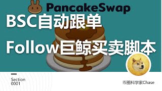 pancakebsc自動跟單跟随巨鲸庄家全自动买卖机器人脚本