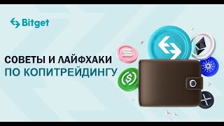 Советы и лайфхаки по копитрейдингу на Bitget. Как не потерять деньги на копитрейдинге?