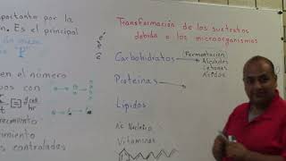 Ingeniería Celular 02. Definiciones: fermentación y mineralización de acuerdo al sustrato.