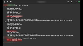 How to Find a Hard Disk Serial Number in Linux All..