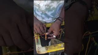 How to made bracelets on the beach? #reppindagreenz #viralbraceletmaking #ytshorts