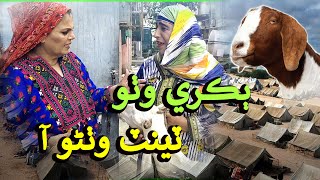 Bakri Watho Tent Wathno Aa I Zakir Shaikh I Nasreen Naz I Flood Message