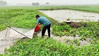 গ্রামের বিলে অনেক সুন্দর মাছ ধরার ভিডিও। সেচে বছরের রেকর্ড মাছ ধরলাম। amazing village fishing video.