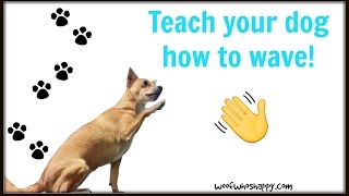 TEACH YOUR DOG TO WAVE IN ONLY FIVE MINUTES! | Dog Training Tutorial