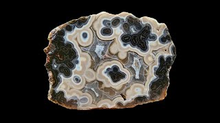 Natural Unpolished Orbicular Agate