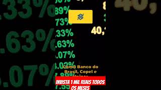 Como investir 1000 reais todos os meses e ter lucros. Como eu investiria meus 1000 reais #nubank