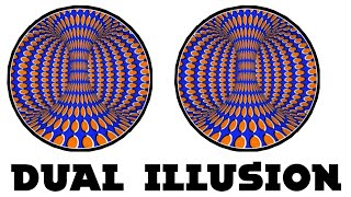 Dual illusion video - best illusion [Smart video]