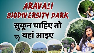 Walk के साथ-साथ मिलेगा सुकून, जड़ी बूटियों से भरपूर हैं ये PARK