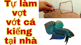 Tự Làm Vợt Vớt Cá Cảnh Tại Nhà #cácảnh #betta