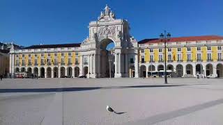 GAIVOTAS DE LISBOA NA BELA PRAÇA DO COMÉRCIO!