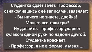 Студентка Пришла Сдавать Зачет, но Оказалась не в Форме! Сборник Самых Свежих Анекдотов!