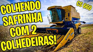 COLHENDO O SAFRINHA COM DUAS MÁQUINAS CS 660! * COLHEDEIRA NEW HOLLAND! *