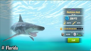 Hunting Florida fish in Hunting clash @Goldenbird16