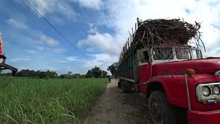 path to Brgy  Camugao, Kabankalan City from Biaren to Sonedco road