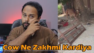 Cow Ne Zakhmi Kardiya | Faisal Iqbal