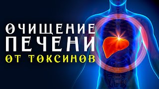 Матрица Гаряева Очищение Печени от Токсинов ☀️ Полное Восстановление и Исцеление Печени Звуком