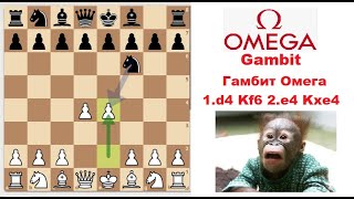 Побеждай в 15 ходов! Гамбит Омега (Omega Gambit)