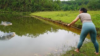 TOP VIDEO: Exciting Fishing, Fishing Techniques Harvesting Many Big Fish - Survival Skills