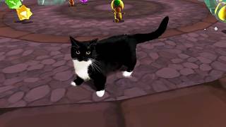 Uni the Cat in Super Mario Galaxy