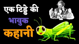 एक टिड्डे की भावुक कहानी | प्रेरणादायक बातें   | Motivational Story hindi #prerna #ampmotivation