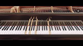 Beethoven appassionata, opus 57, 1st movement piano 3D