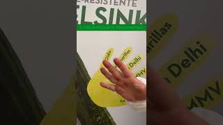 ¿Pensando en tu próximo cultivo de pepino? 🥒 Helsinki