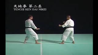 TENCHI KEN DAI NIKEI (SOTAI)