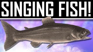 Watch Dogs - Singing Fish Easter Egg!