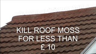 KILL Roof Moss for Under £10