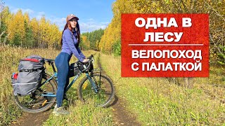 ОДИНОЧНЫЙ ВЕЛОПОХОД | НОЧУЮ В ПАЛАТКЕ | ЗВЕРЬ РЯДОМ