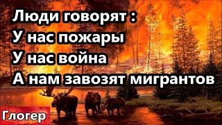 Преступная власть Люди говорят : У нас пожары ! А у нас война ! А нам завозят мигрантов ! #глогер