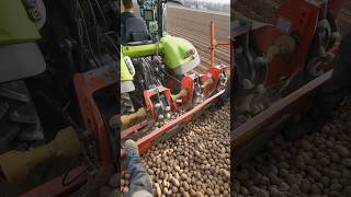 Okay let's go! 🚜🥔 #shorts #shortsfeed #agriculture #lifestyle #foryou #viral #landwirtschaft #farm