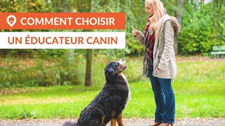 Comment choisir le bon éducateur canin ? [Guide]